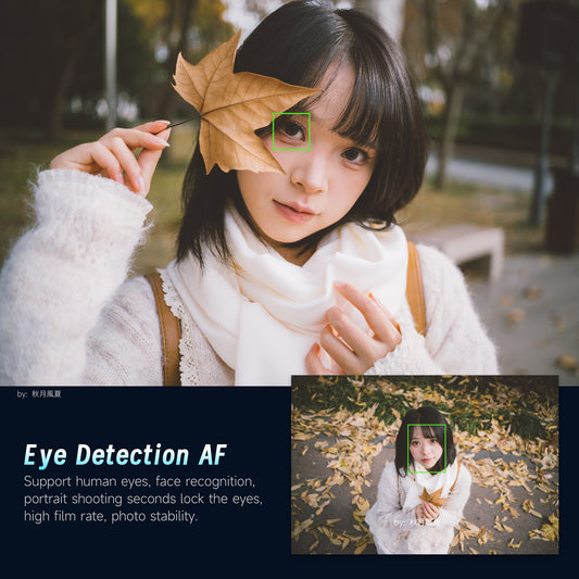 AF 40mm F2.5 Full-frame Lens for E