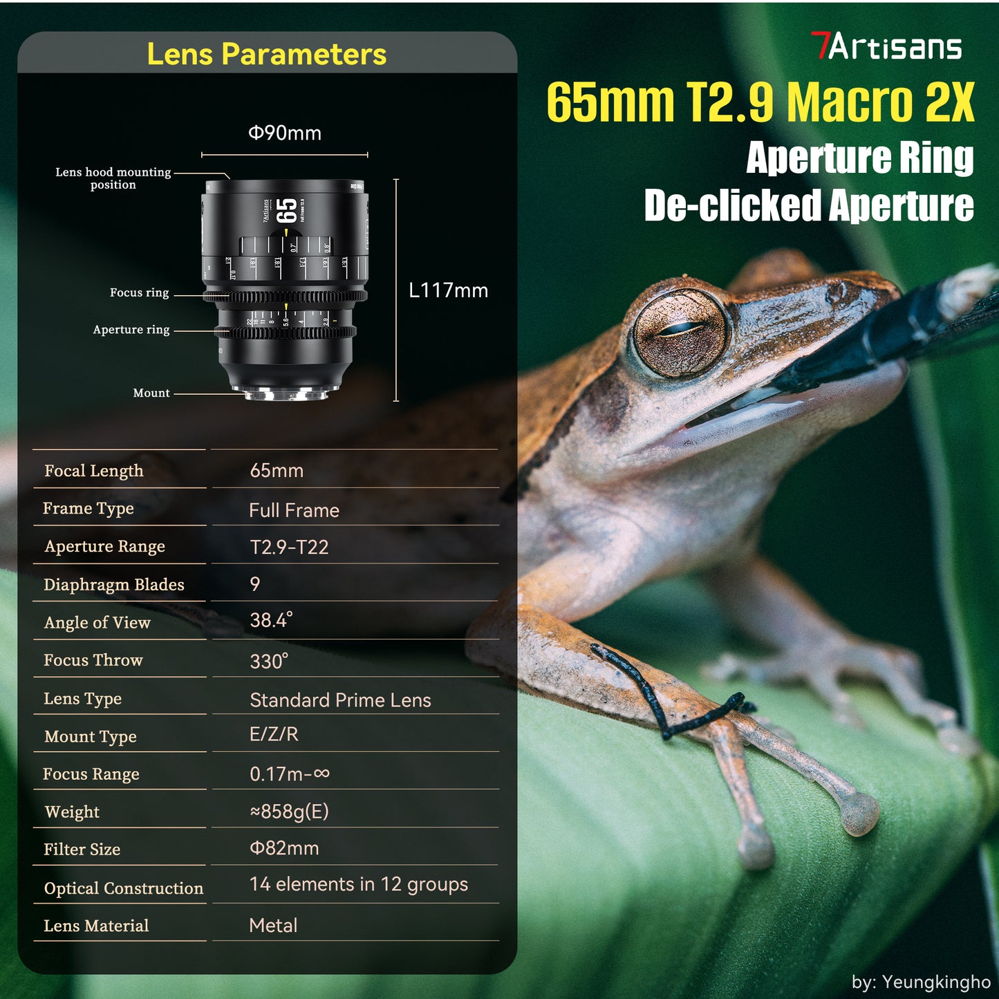 65mm T2.9 Full Frame Macro Cine Lens for Sony E/Nikon Z/Canon EOS-R