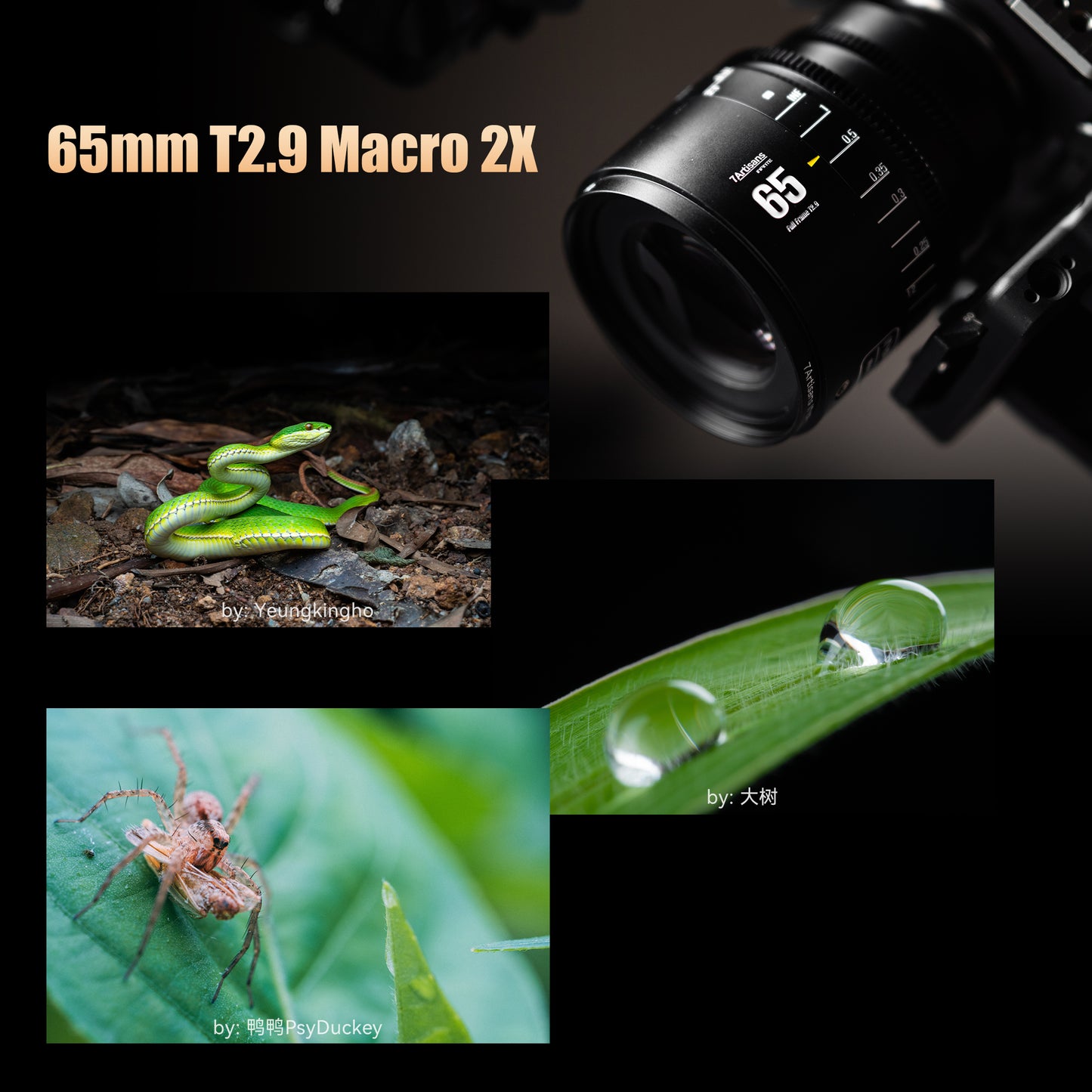 65mm T2.9 Full Frame Macro Cine Lens for Sony E/Nikon Z/Canon EOS-R