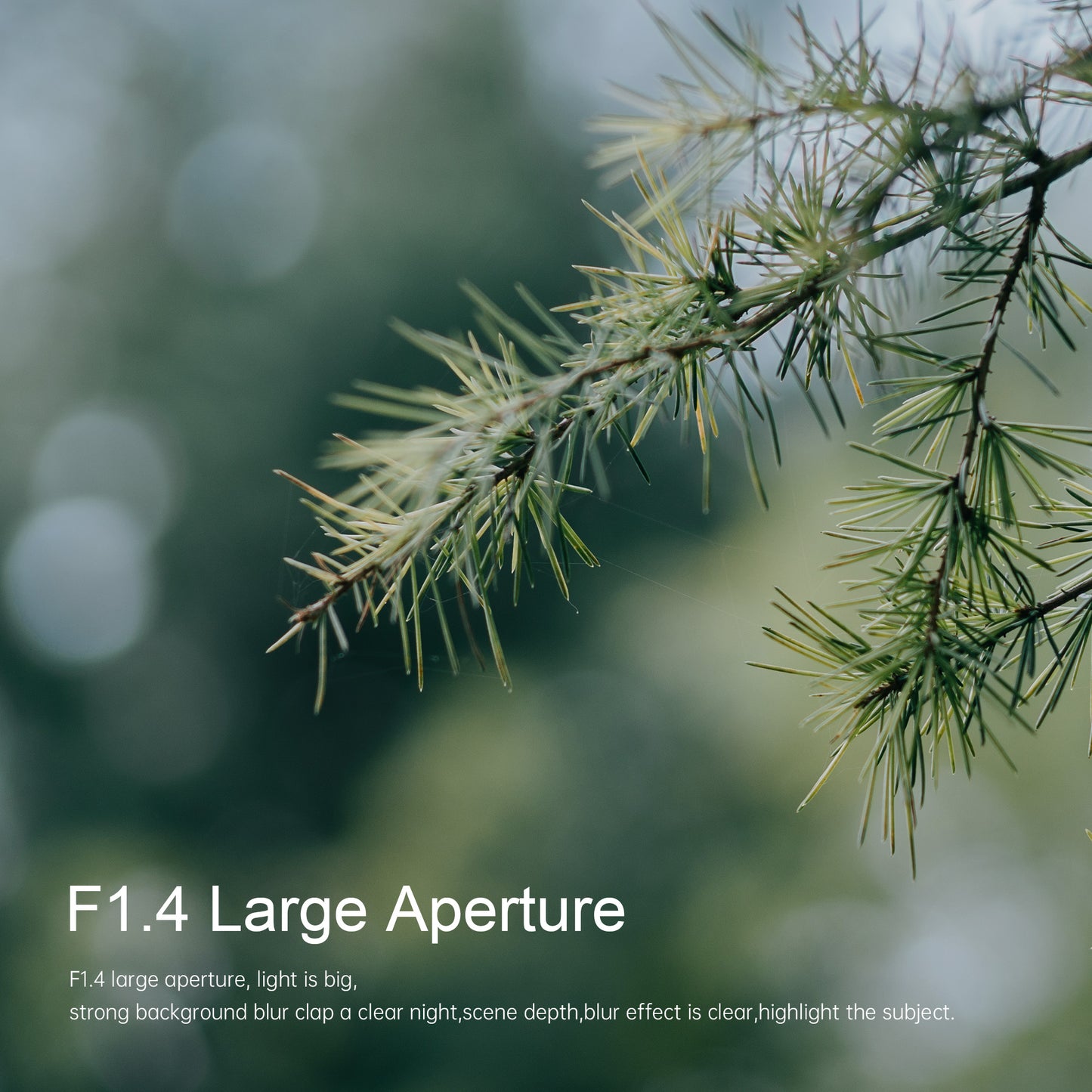 MF 55mm f/1.4 APS-C lens for FX