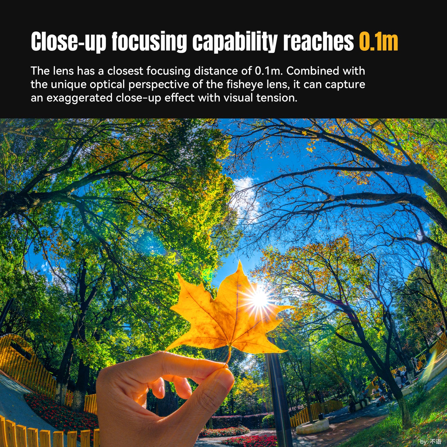 MF 6mm f/2.0 APS-C Lens for Sony E/Fuji X/EOS-R/Nikon Z/Panasonic/Olympus M43