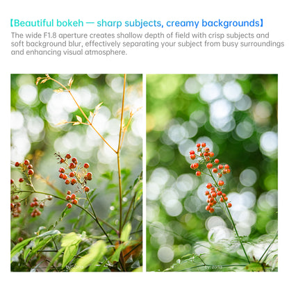 AF 25/35/50mm F1.8 APS-C Lens for E/FX